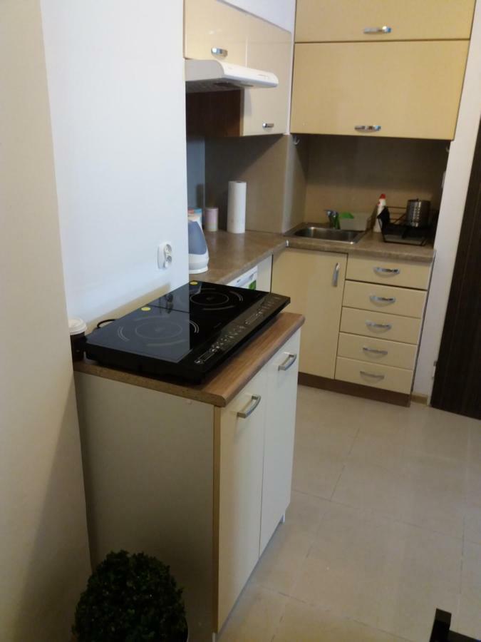 크라쿠프 Klimatyczny Apartament 아파트 외부 사진